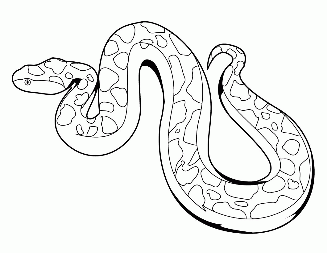 Draw Boa Constrictor Step Snakes Animals - Colorine.net | #17722