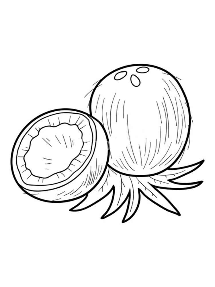 Coconut Coconuts Colouring Drawing Coloringcafe Sketch Coloring Page