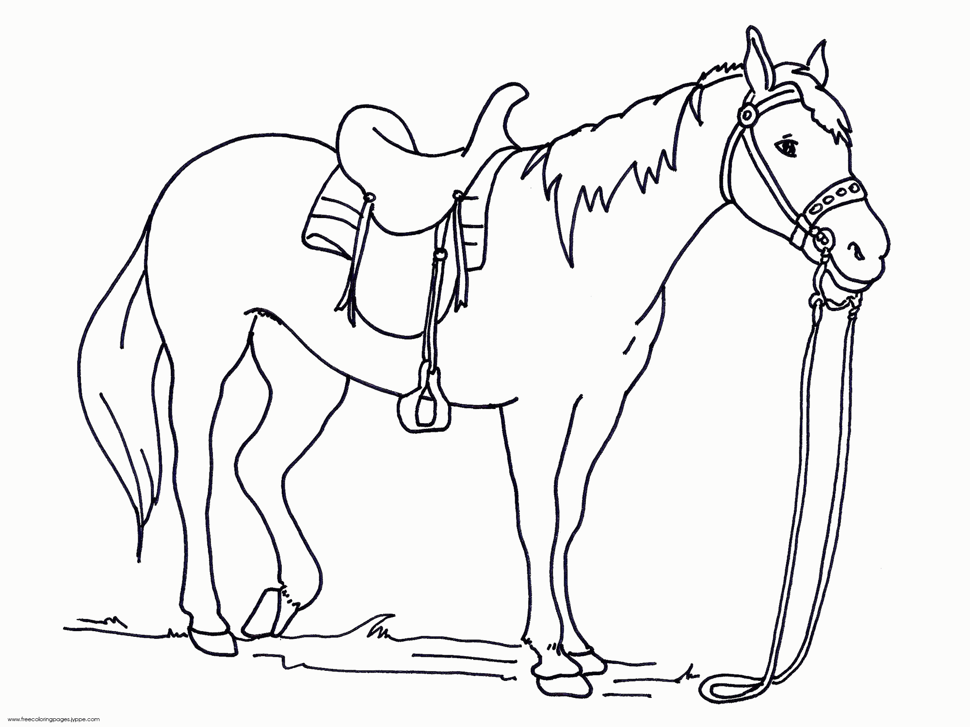 Coloring Book Remarkable Pagesf Horses Printable Running Wild Free ...