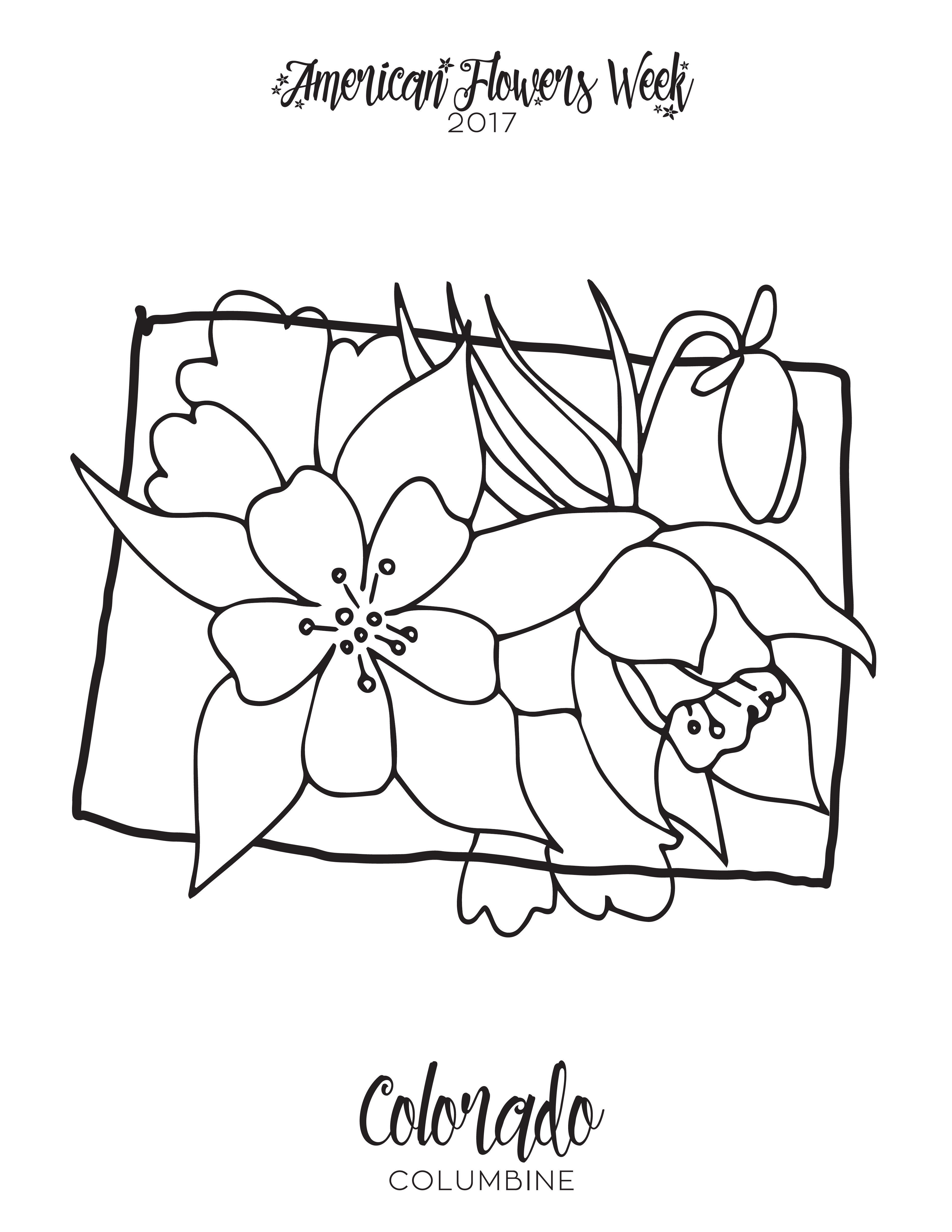 coloring : Coloring Pages State Colorado Flowers Company For Kids ...