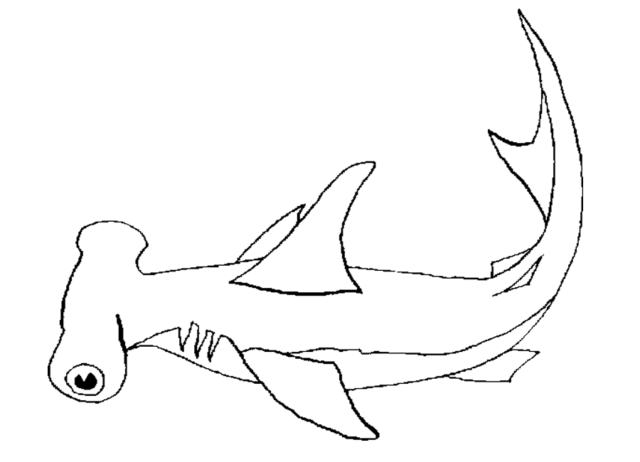 Hammerhead Shark Coloring Pages To Print