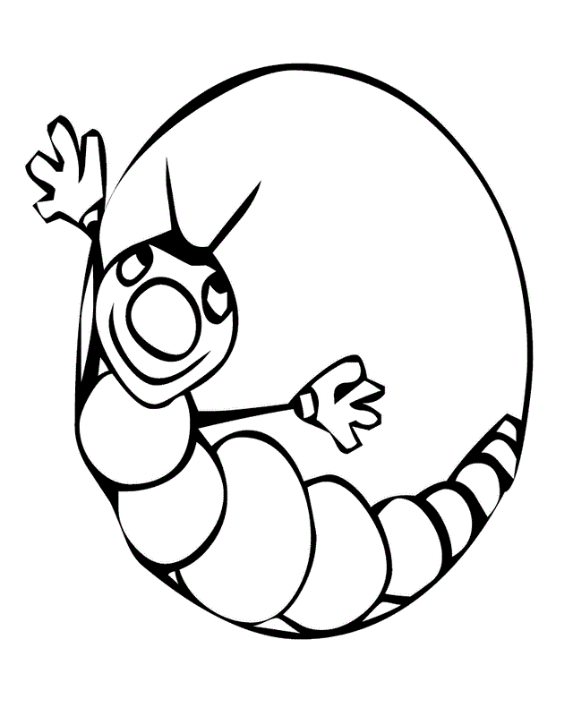 Free Printable Caterpillar Coloring Pages For Kids