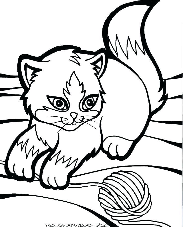 Cute Kitten Coloring Pages PDF - Coloringfolder.com | Puppy coloring pages,  Animal coloring pages, Cat coloring page