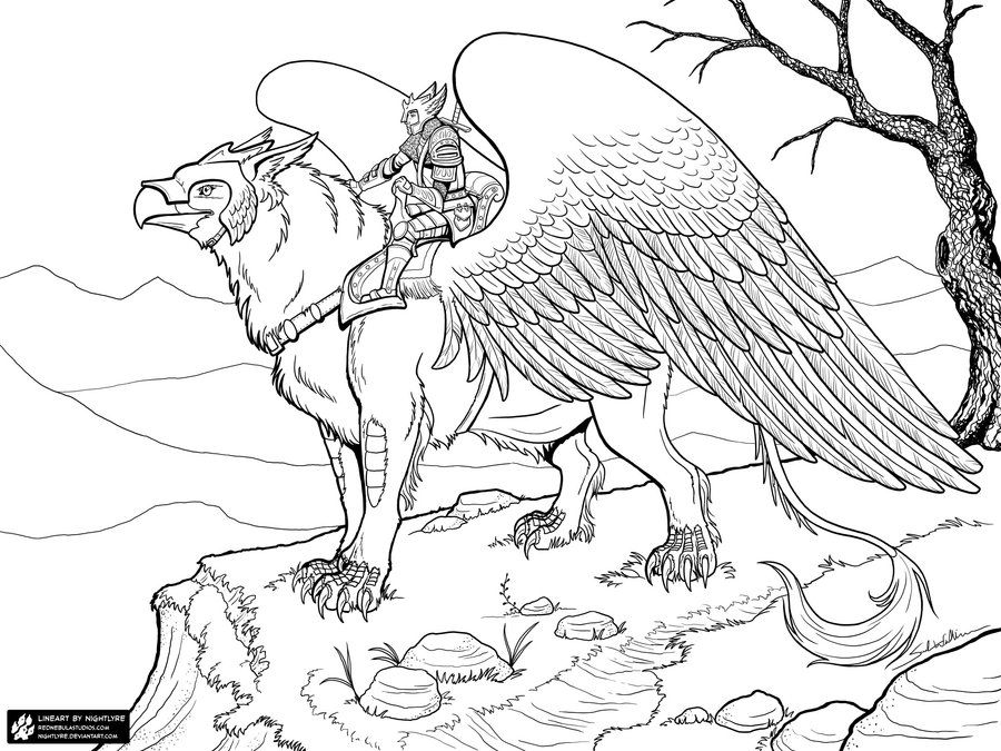 Griffon Rider Lineart (JPG version) | Animal coloring pages, Dragon coloring  page, Avengers coloring pages