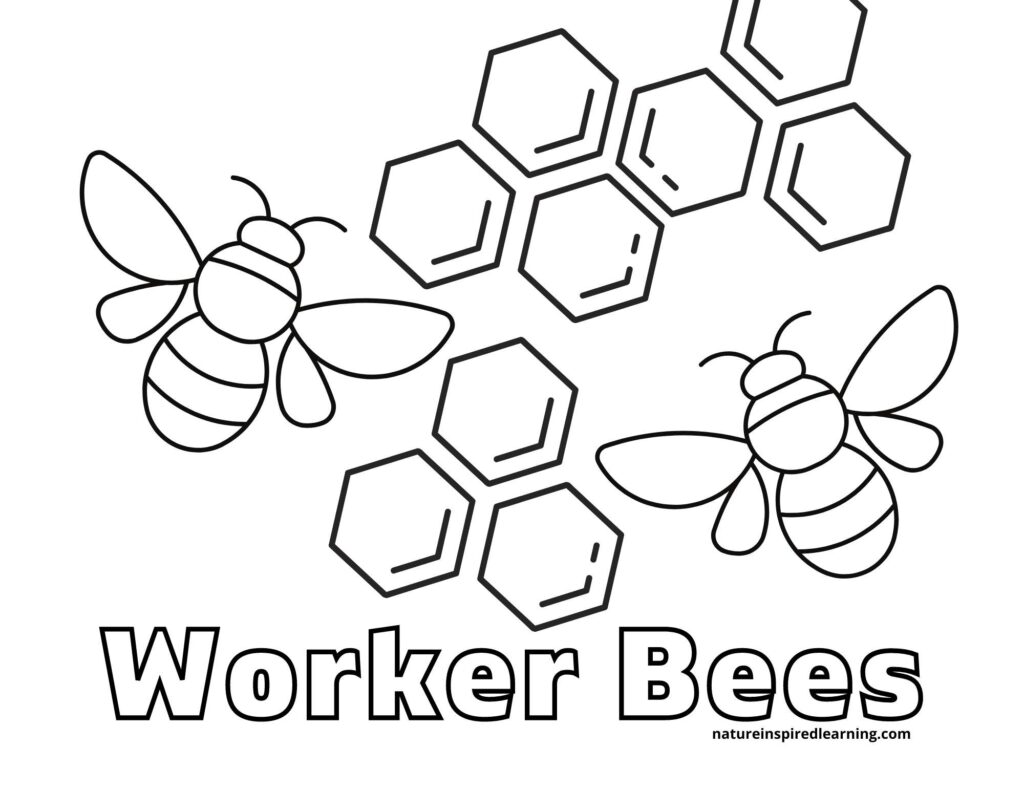 Busy Bee Coloring Pages for Kids - Nature Inspired Learning