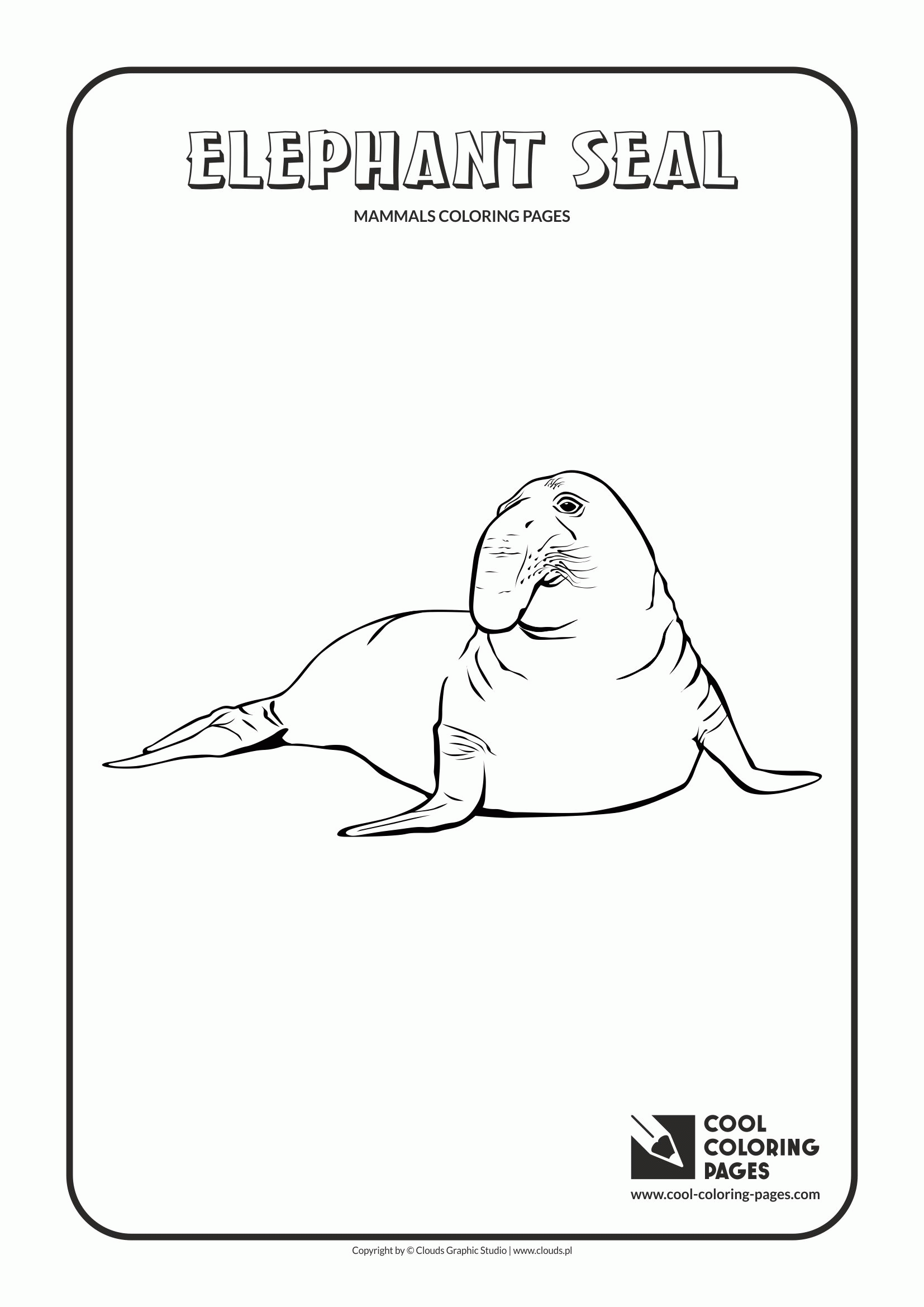 Mammals coloring pages | Cool Coloring Pages