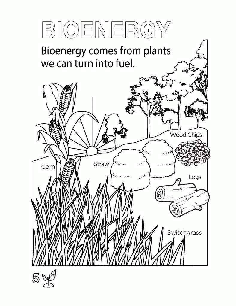Environmental Science Coloring Book - High Quality Coloring Pages