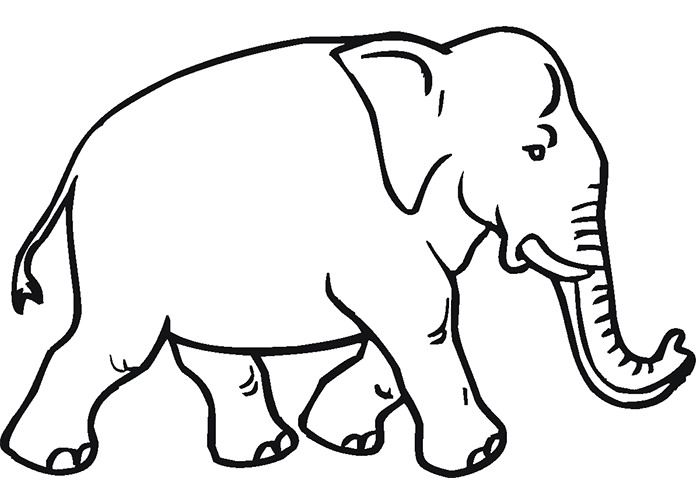 African Animal Template - Animal Templates | Free & Premium Templates |  Elephant Coloring Page, Animal Outline, Animal Coloring Pages - Coloring  Home