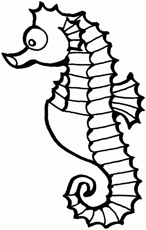 Cartoon Seahorse Pictures | Horse coloring pages, Animal coloring ...