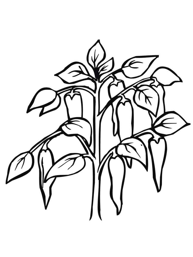 Pepper coloring pages. Download and print Pepper coloring pages