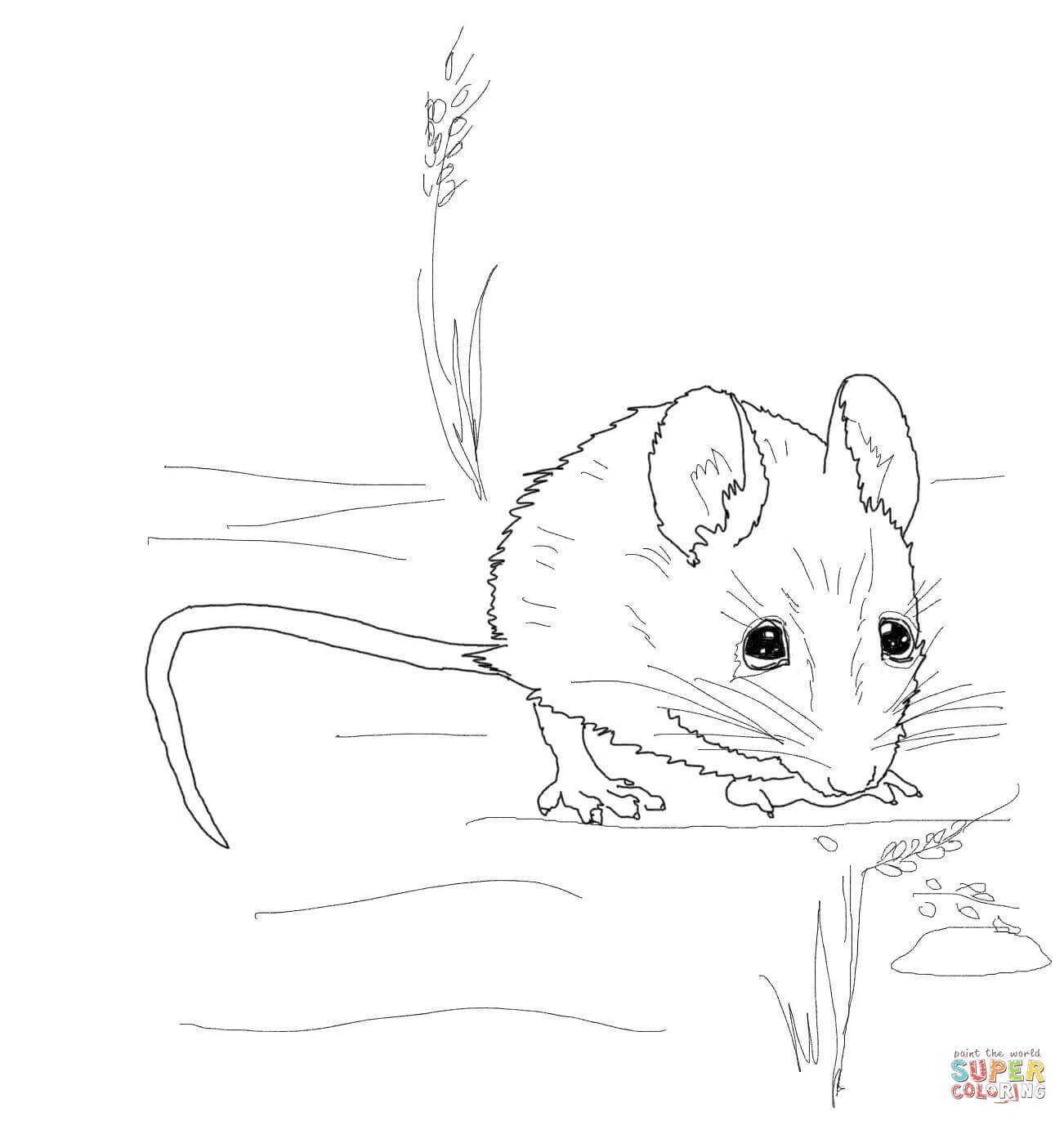 mice coloring page  coloring home