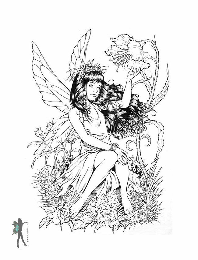 adult coloring pages fairies  coloring home
