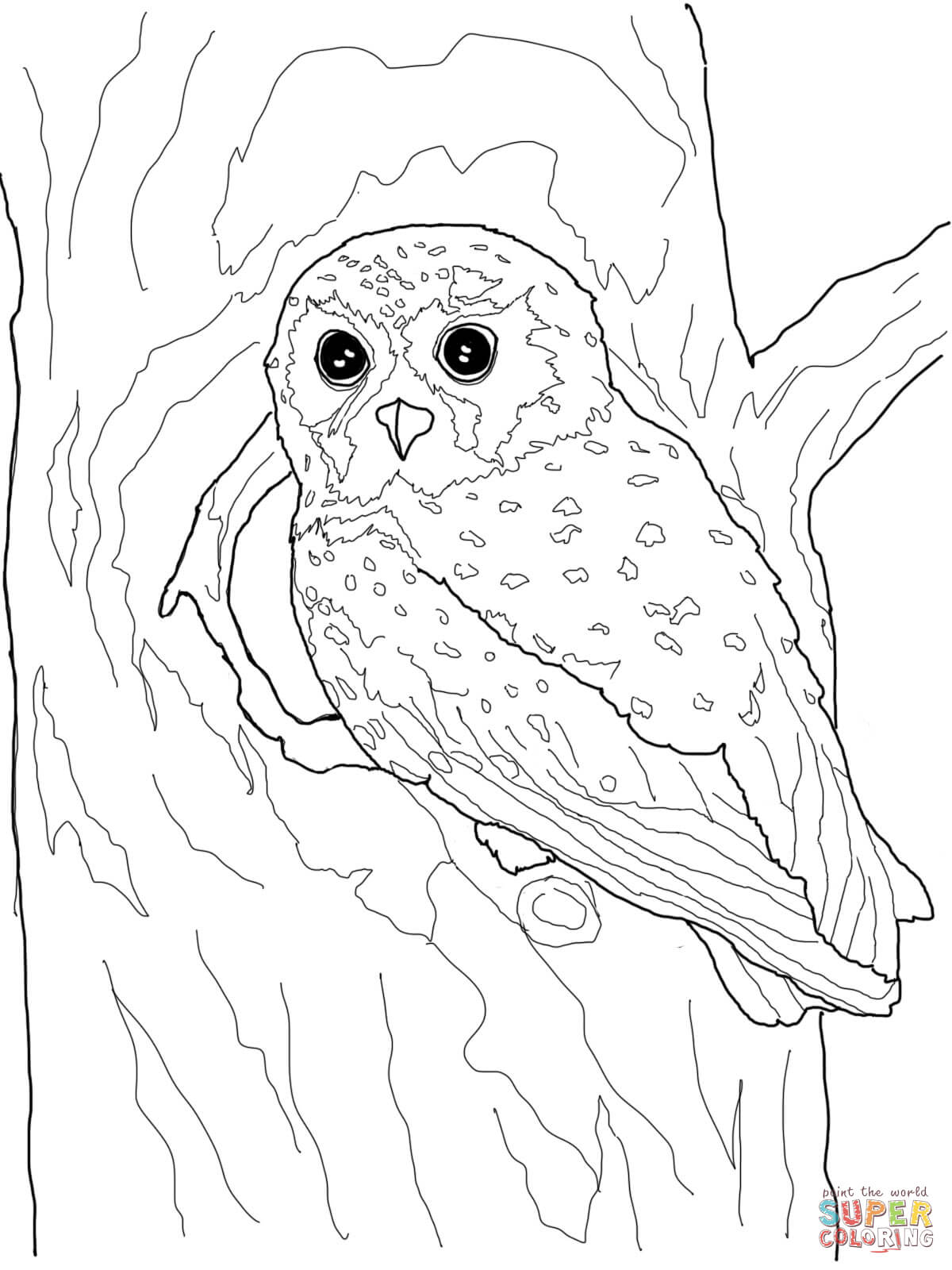 Elf Owl coloring page | Free Printable Coloring Pages