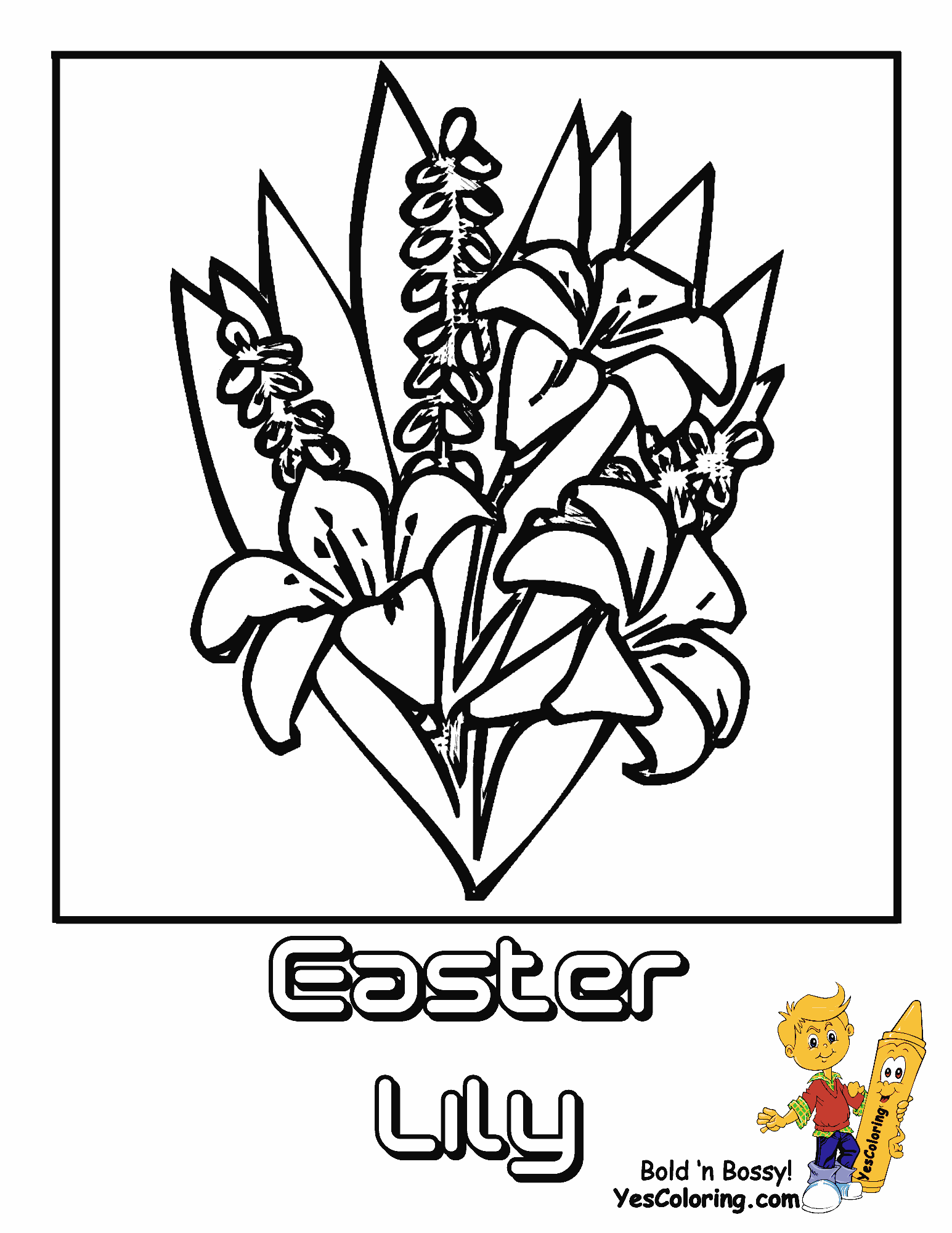 Luxurious Coloring Flower Pictures | Lily | Free | Easter Lilies