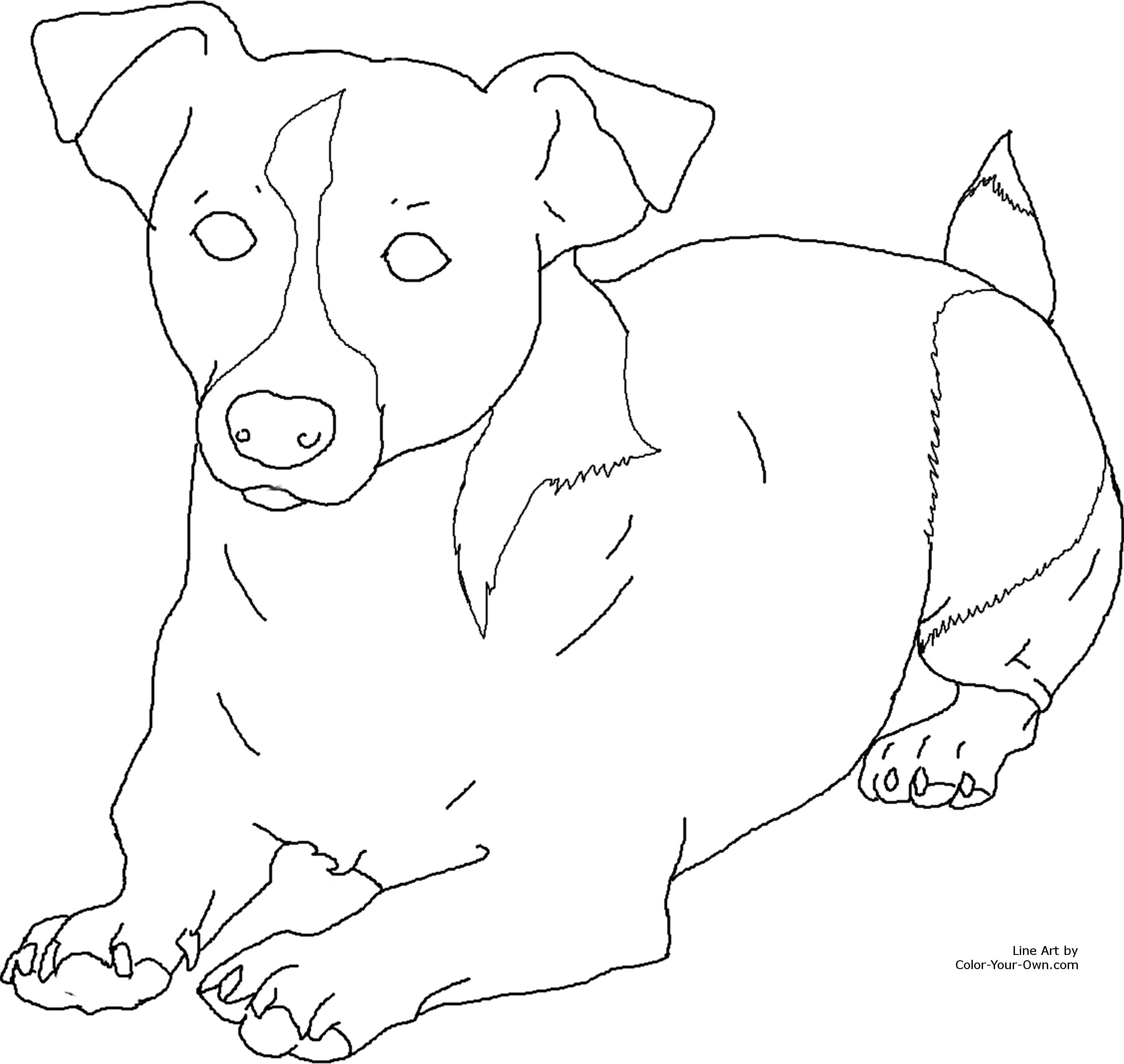 Jack Russel Terrier Dog Laying Down Coloring Page