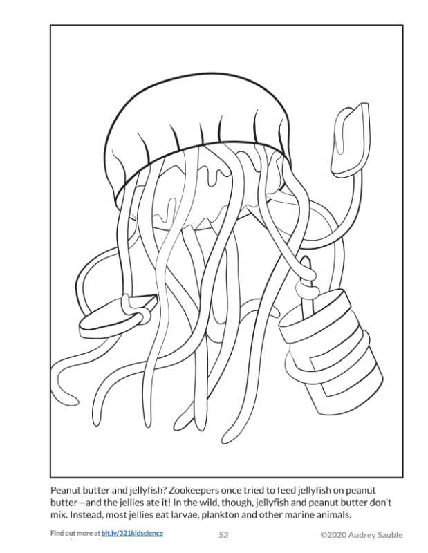 Peanut Butter & Jellyfish: Free Coloring Page