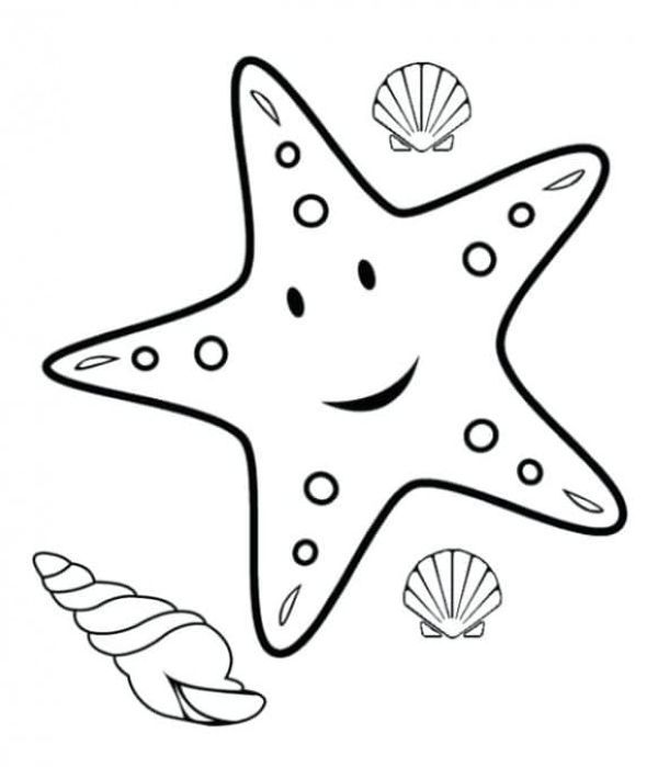 Starfish Coloring Pages PDF Printable - Coloringfolder.com | Beach coloring  pages, Fish coloring page, Animal coloring pages