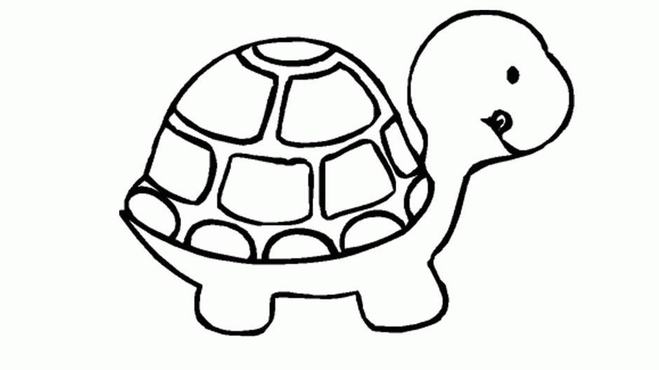 Turtle - Coloring Pages for Kids and for Adults