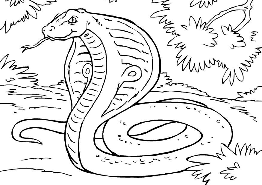 10 Pics of Scary Cobra Coloring Pages - Scary Snake Coloring ...