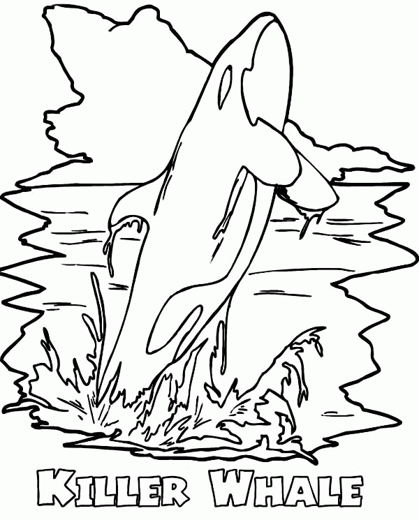 Orca Whale Coloring Pages - Coloring Home