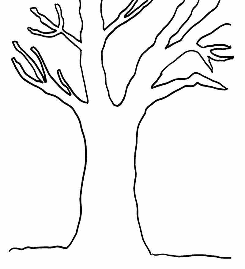 Tree Coloring Picture - Coloring Pages for Kids and for Adults