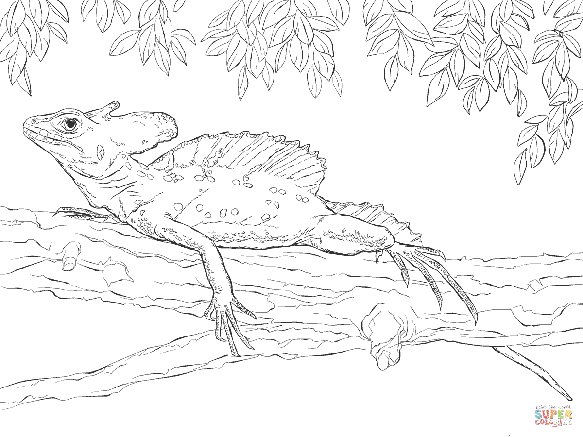 Green Basilisk coloring page | Free Printable Coloring Pages