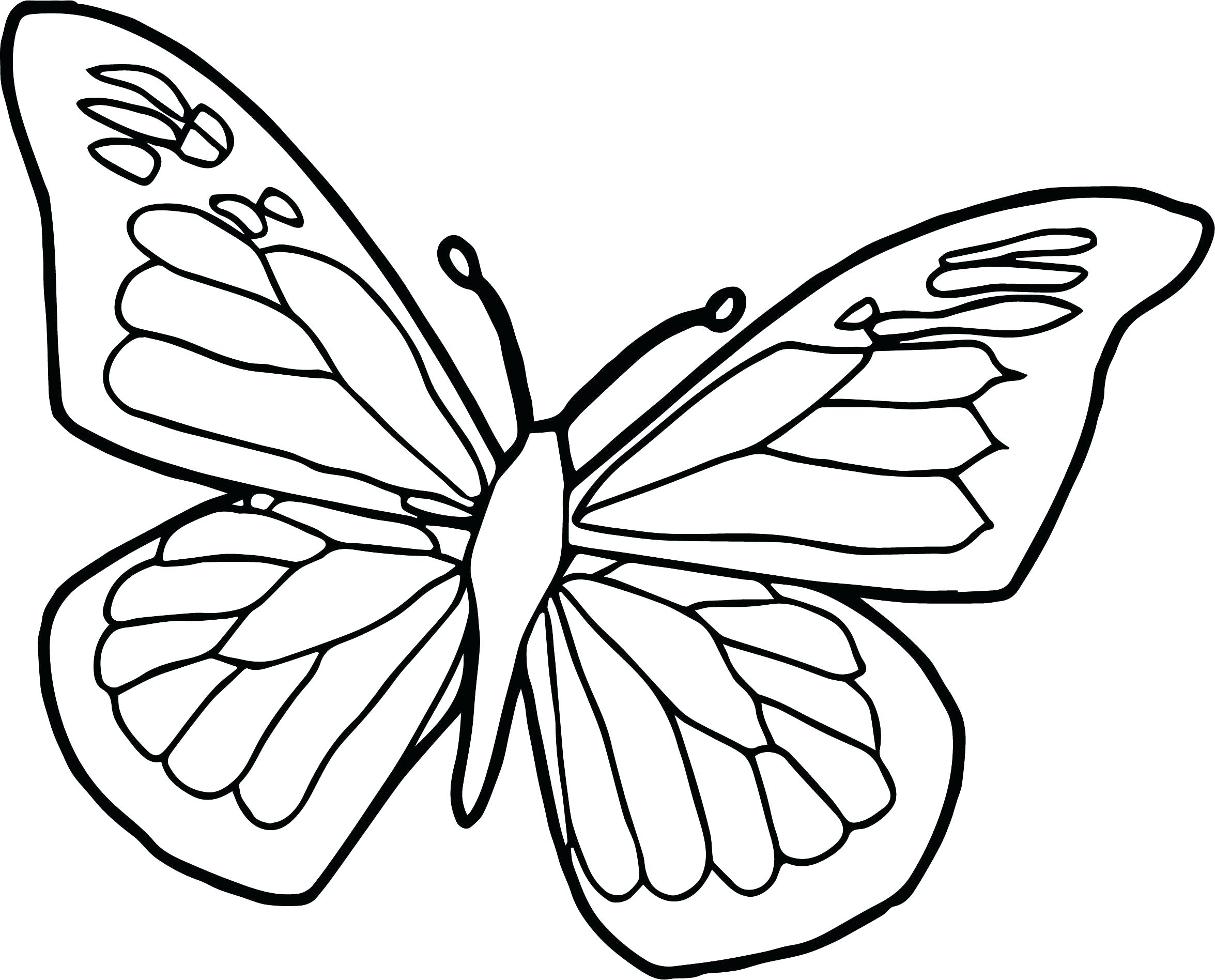 20 Most Magic Butterfly Coloring Pages Cartoon Caterpillar Free ...