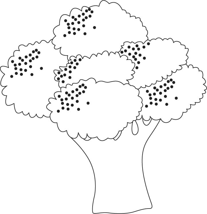 Growing broccoli coloring pages | Download Free Growing broccoli 