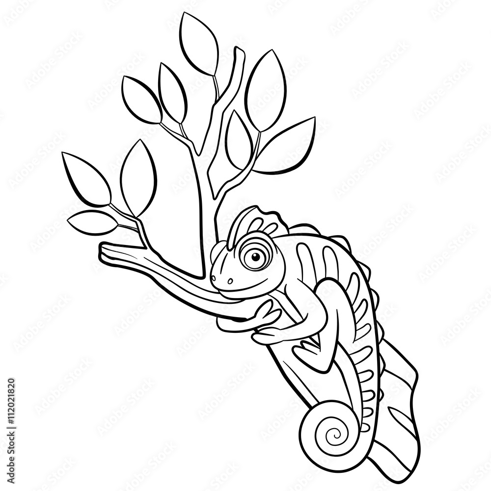 Coloring pages. Wild animals. Little cute chameleon sits on the tree branch  and smiles. Stock Vector | Adobe Stock