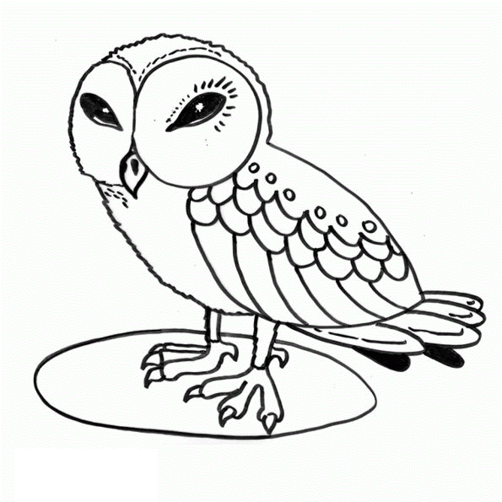 Download Coloring Pages Of Owl Babies - Coloring Home