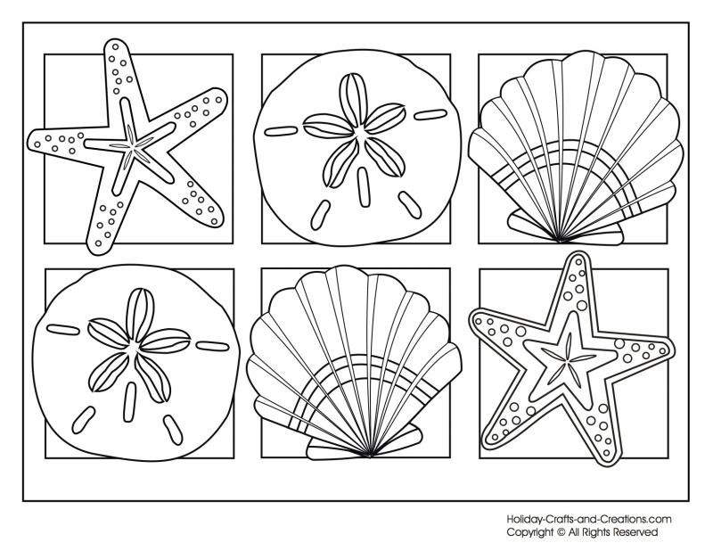 Seashell Coloring Pages - Bestofcoloring.com