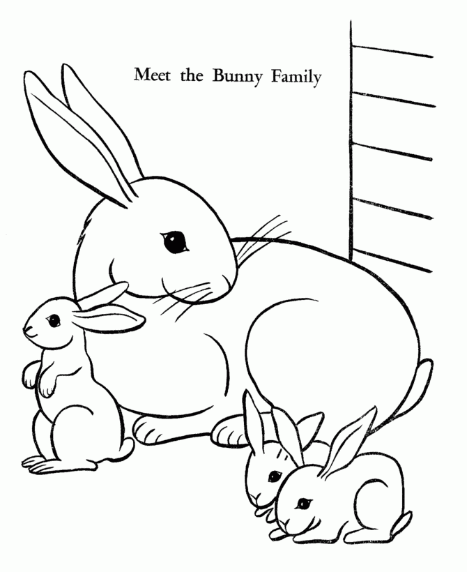 Cute Bunny Coloring Pages For Kids - coloringmania.pw ...