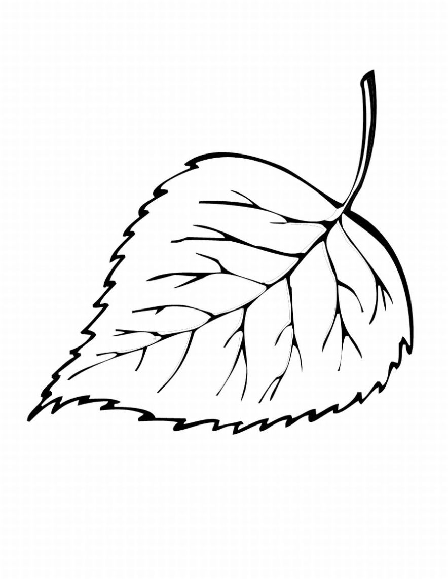 coloring pages : Fall Leaf Coloring Sheet Free Canadian Maple Large Page  Palm Leaf Coloring Sheet ~ mommaonamissioninc