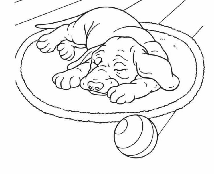 Coloring page : Dog sleep near ball - Coloring.me