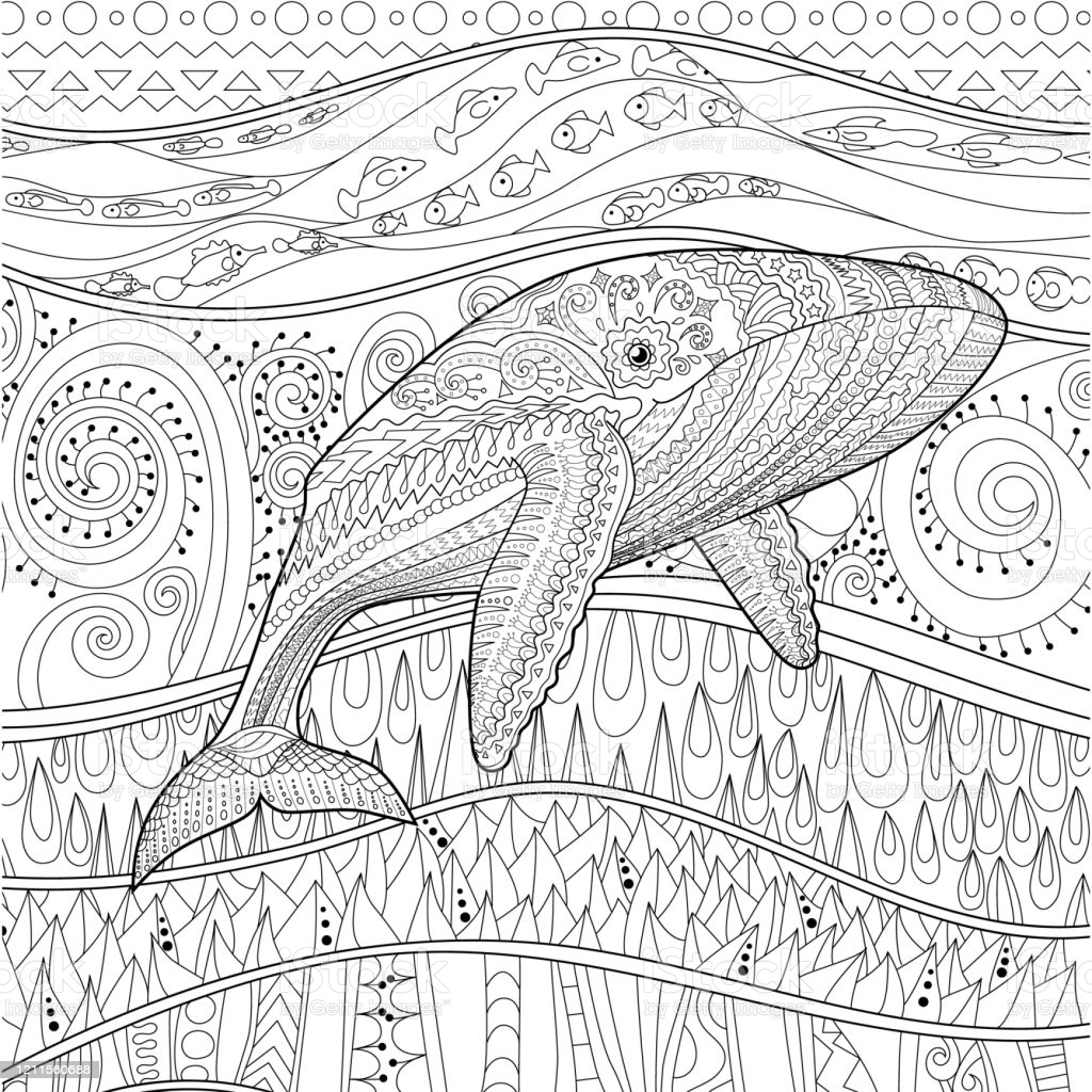 Coloring Pages For Adult With Blue Whale Stock Illustration - Download  Image Now - iStock