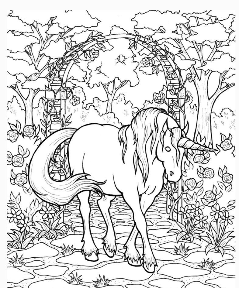Unicorn Coloring Pages for Adults - Best Coloring Pages For Kids | Unicorn  coloring pages, Horse coloring pages, Animal coloring pages