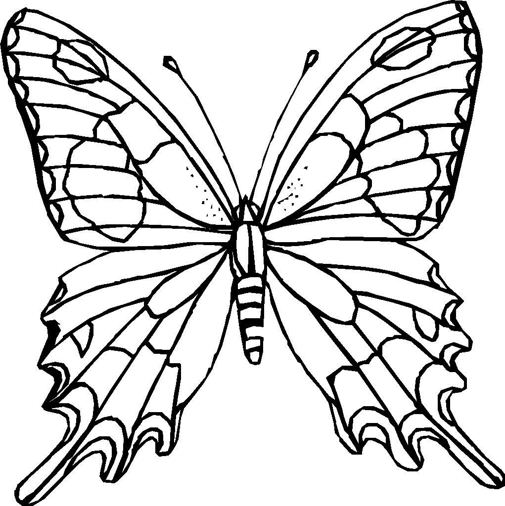 Best Photos of Butterfly Coloring Template - Printable Coloring ...