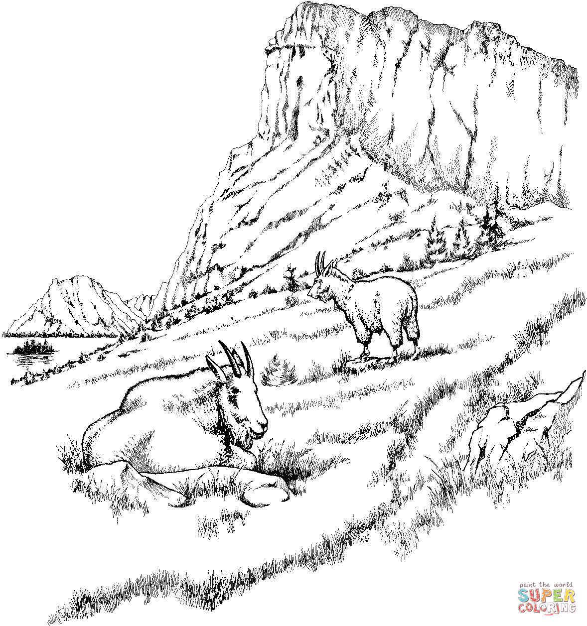 Two Mountain Goats coloring page | Free Printable Coloring Pages
