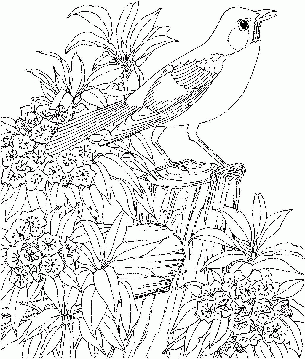 Free Printable Adult Coloring Pages Unique Abstract Image 33 ...