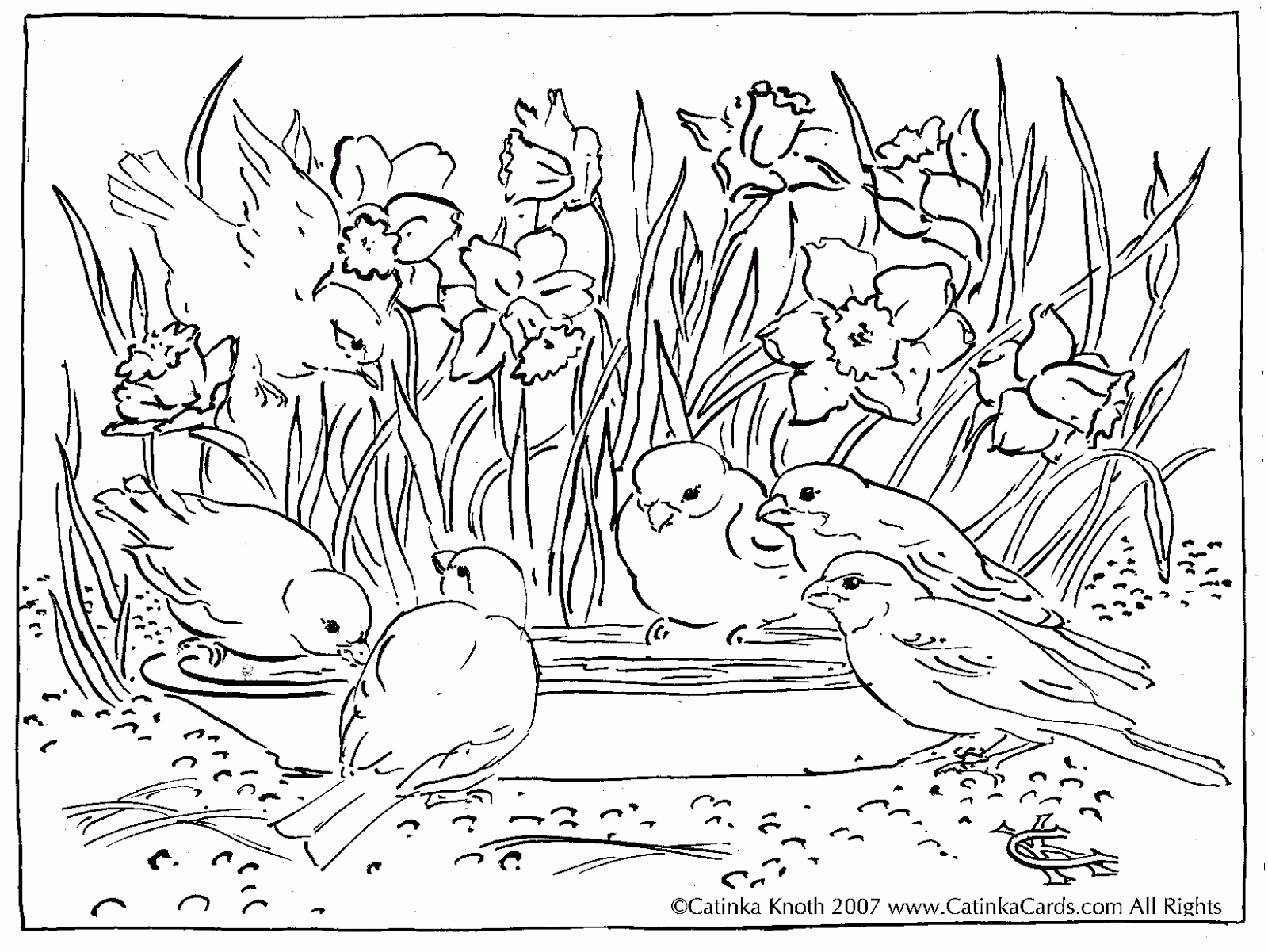 Nature Around The House Coloring Pages   Coloring Home
