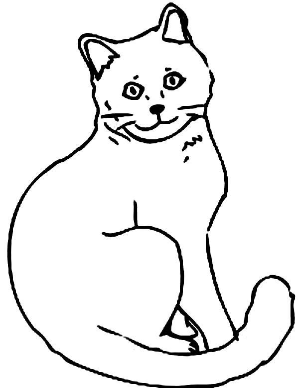 Cat Coloring Page for Kids | Coloring Sun