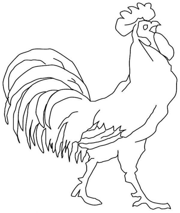 Farm Animals Coloring Pages Rooster ~ YourPictures.co