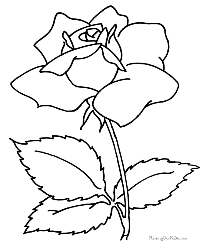 Flower coloring book pages of a rose 001