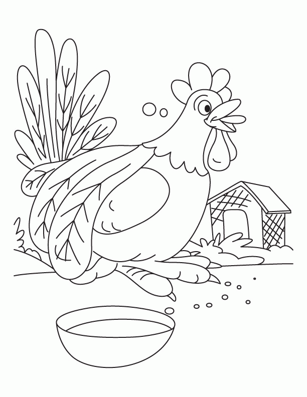 Do not disturb, Rooster having food coloring pages | Download Free 