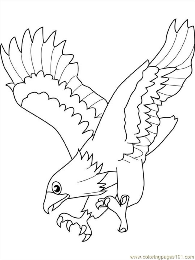 Coloring Pages Eagle4 (Birds > Eagle) - free printable coloring 