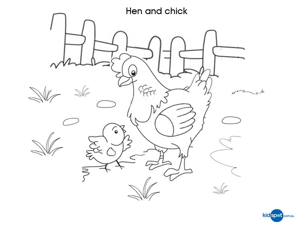 Free Printables - Hen - Colouring Pages
