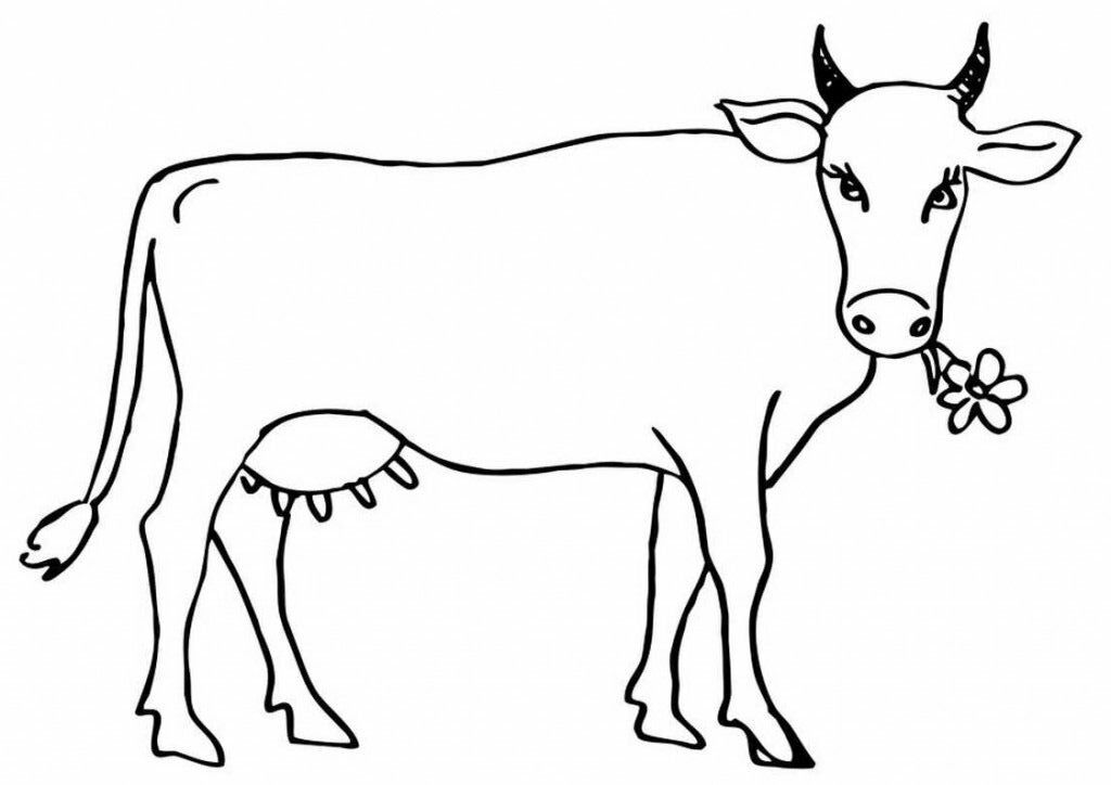 Animals: Beautiful Cow Coloring Pages Animal Farm Cattle Calf 