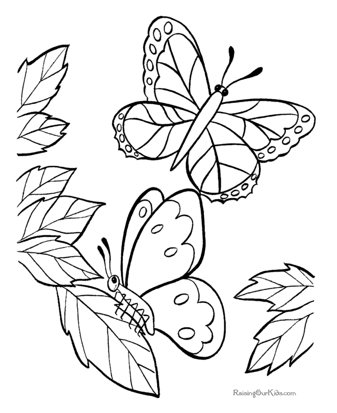 Download Butterfly Color Pages For Kids - Coloring Home