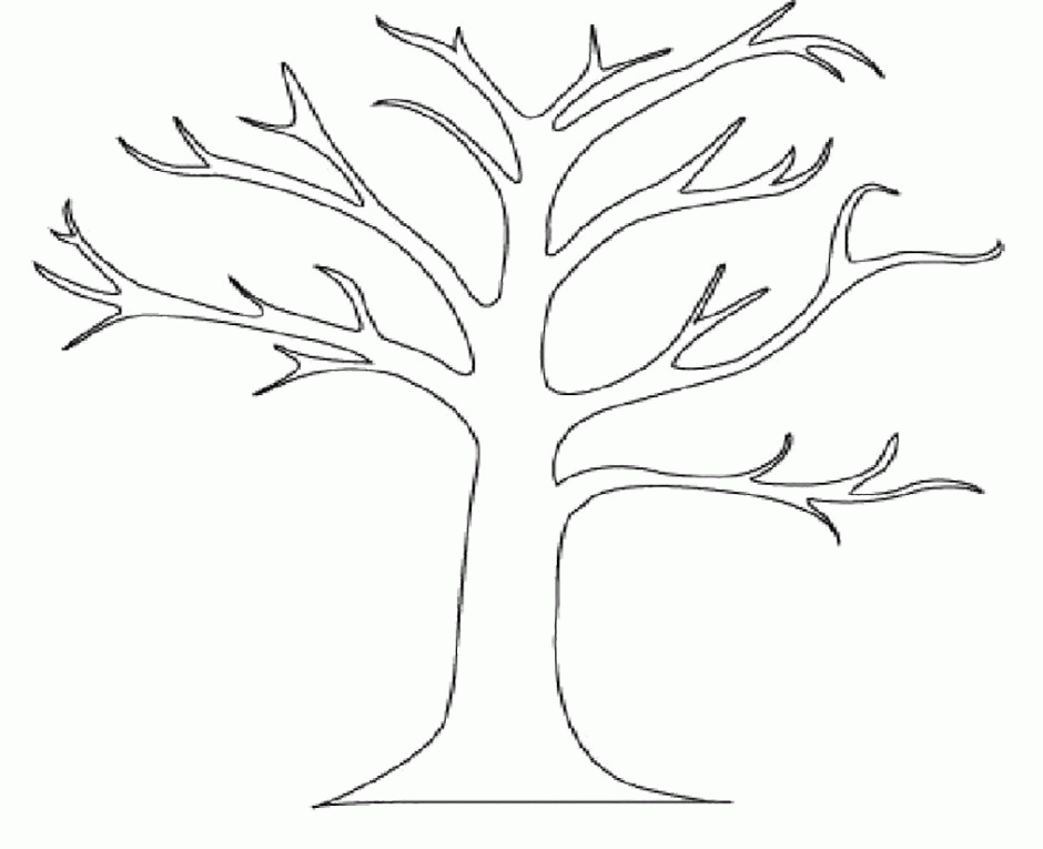 Pictures Of Trees With No Leaves ClipArt Best 292332 Tree Without 