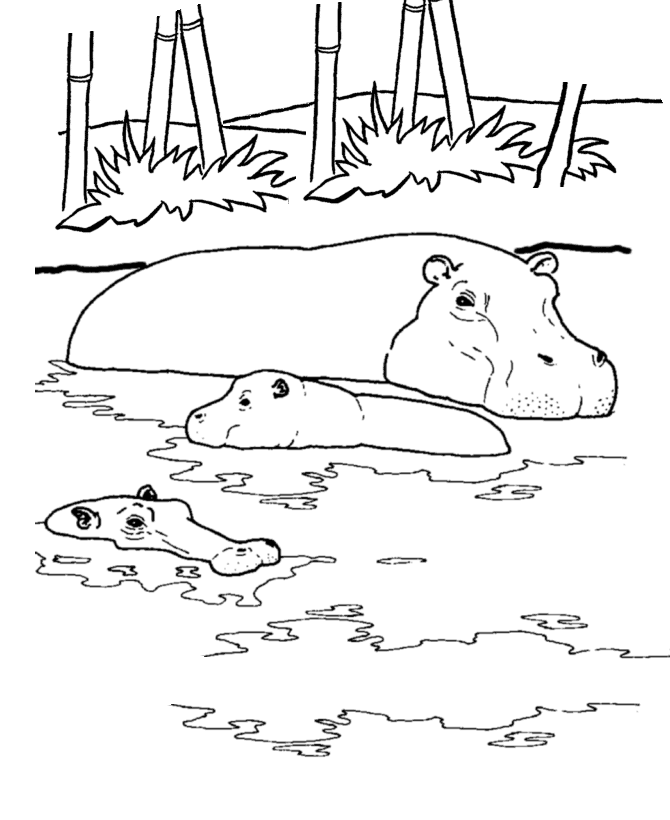 Wild Animal Coloring Pages | Hippopotamus Coloring Page, River ...